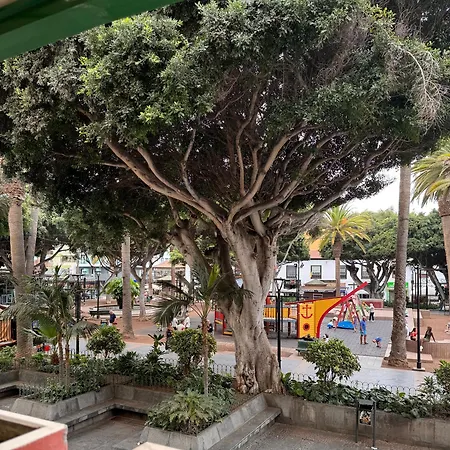 Apartamento Luna C *